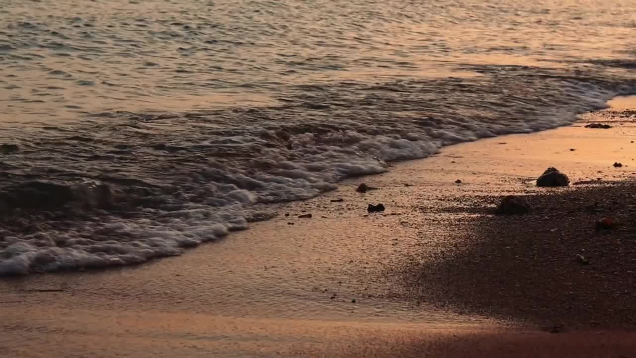 美丽的热带海滩，午后的背景视频下载