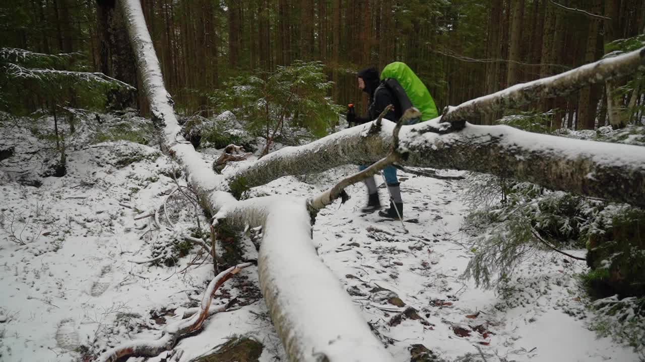 带着登山杖和背包徒步穿越白雪覆盖的森林。小路被雪覆盖着视频素材