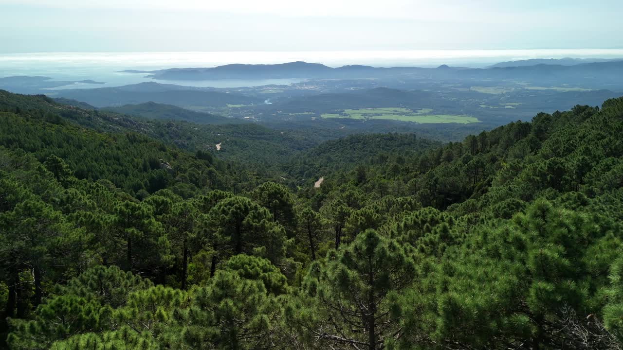 科西嘉森林景观:翠绿的山丘和海岸景观视频素材