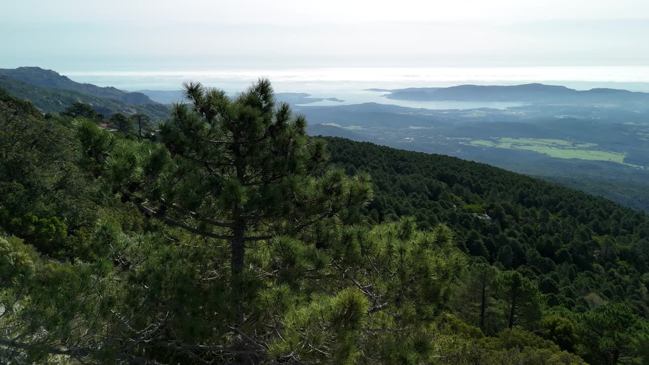 科西嘉岛壮丽的山景，郁郁葱葱的森林和海岸线视频素材