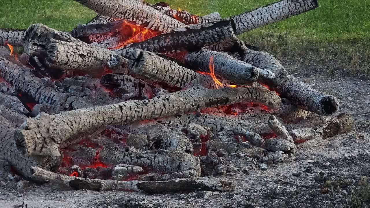 一棵树在闷烧。篝火余烬和引火燃烧的篝火视频下载