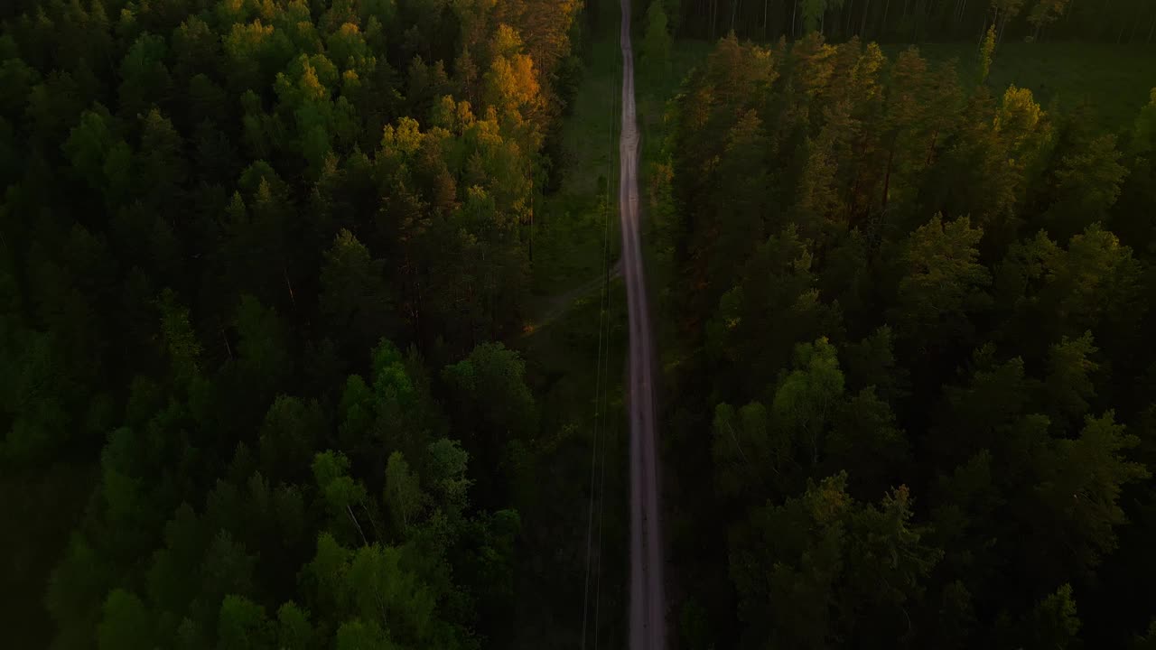 日落时分令人惊叹的森林道路场景，由无人机实时拍摄，从上面展示了宁静的户外美景视频素材