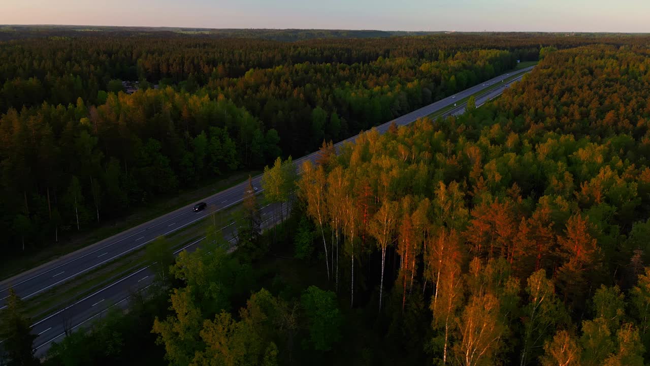 欣赏日落时分穿过森林的高速公路，金色的色调照亮了风景。欣赏美丽的鸟瞰图视频素材