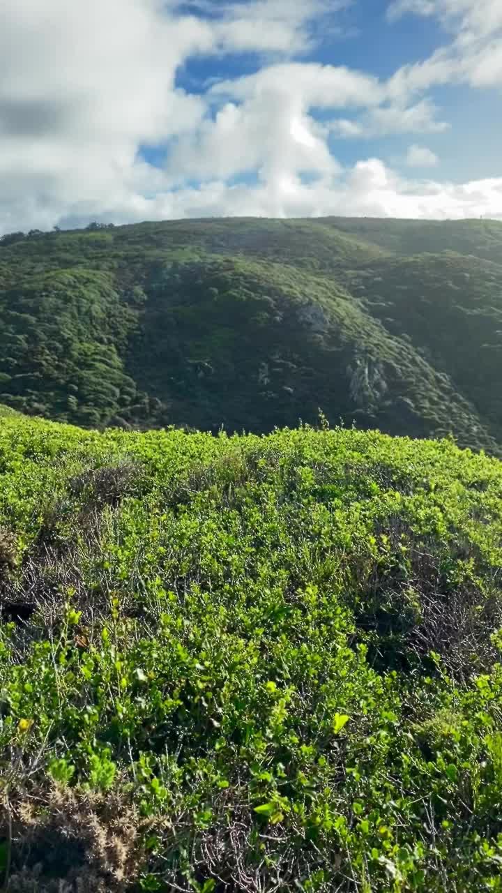 全景的海洋海岸和岩石湾，大西洋，美丽的云景，戏剧性的景观，彩色的海景与纯粹的岩石，旅游内容，里斯本，葡萄牙视频素材