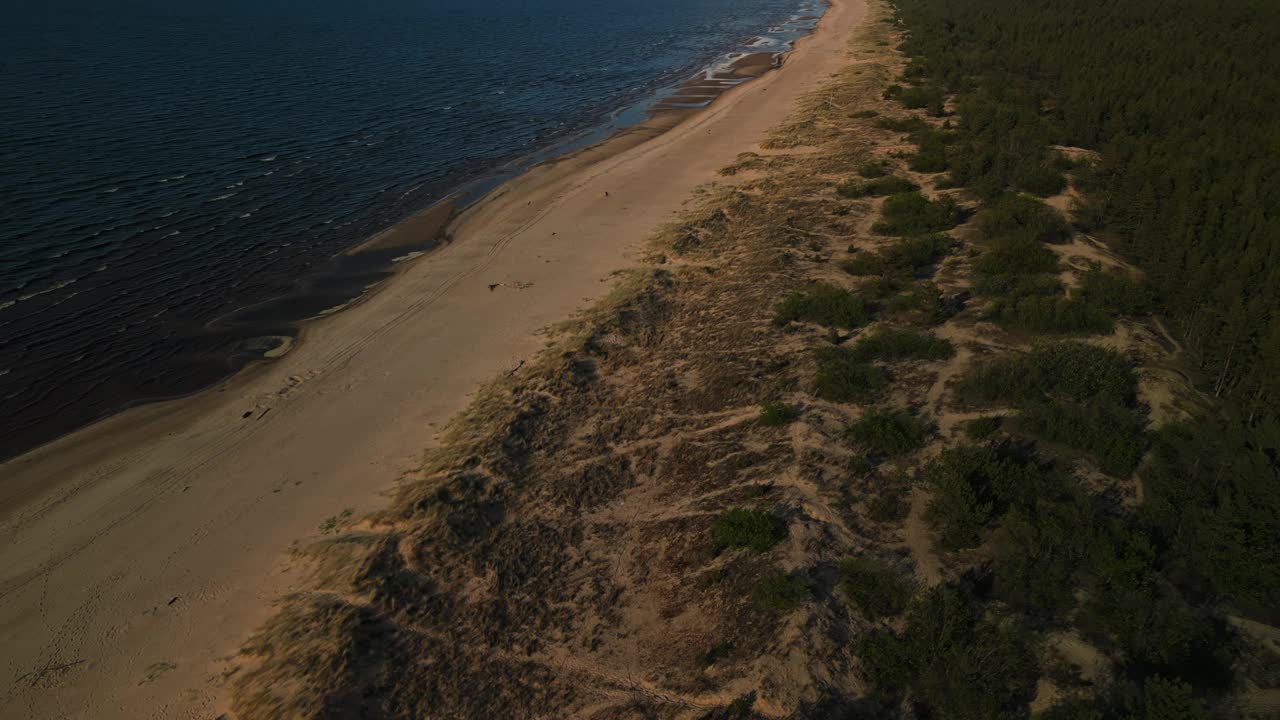 体验美丽的海岸海滩和森林景观在日落通过航拍镜头捕捉视频素材