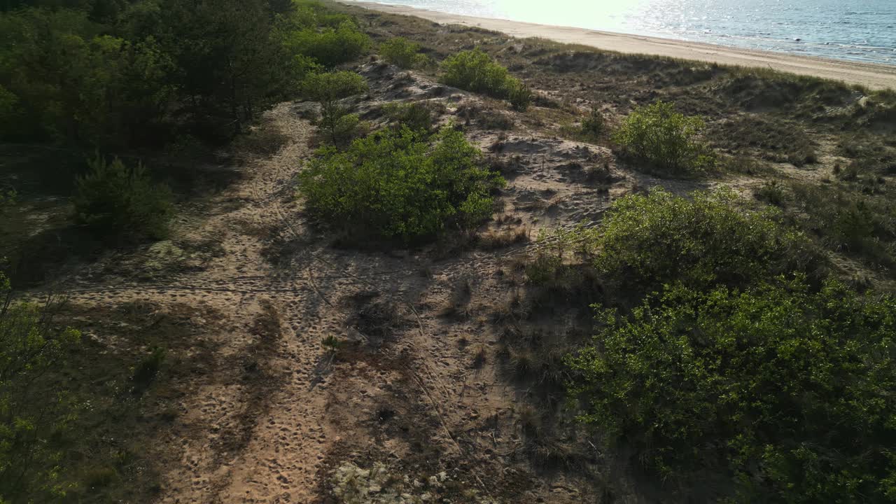 享受令人惊叹的航拍海岸沙丘和植被在一个风景如画的日落在海滩视频素材