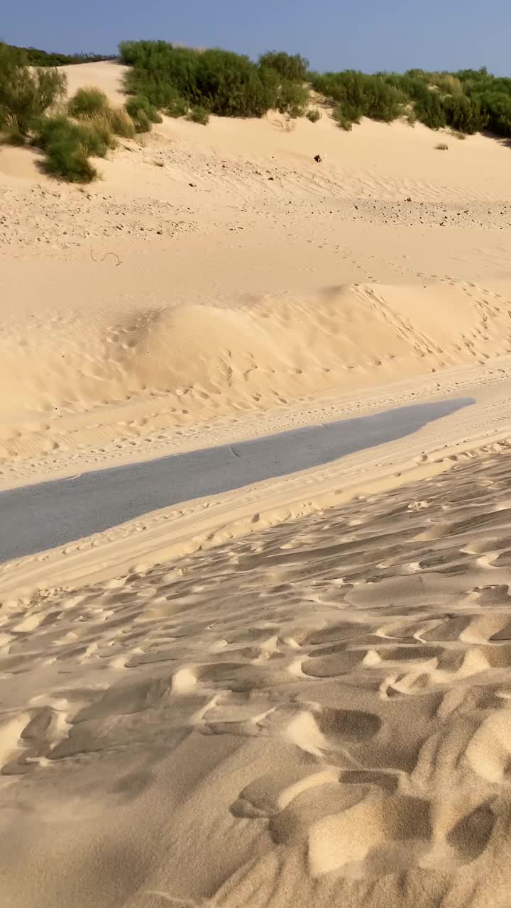 海岸上的日落视频下载