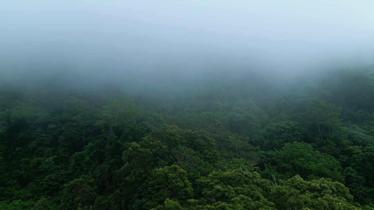 空中无人机在绿色森林树木在美丽的山脉亚洲的土地。印度尼西亚茂密的森林和丛林自然之旅。雄伟的生态和古老亚洲林地的田园环境视频素材