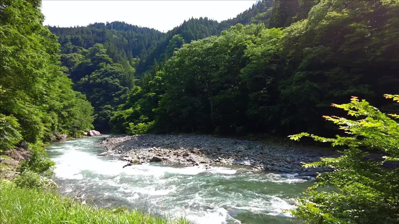 荒川河的上游视频下载