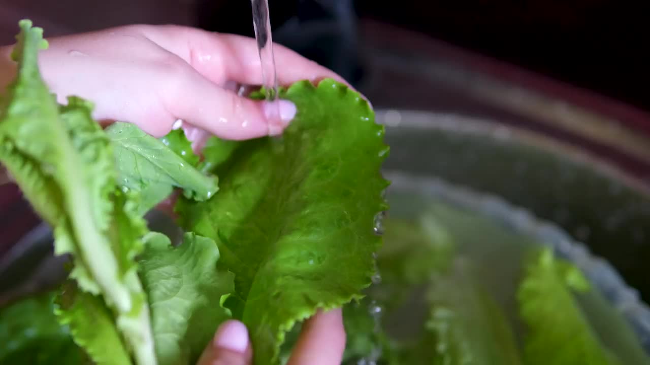 厨房里的年轻女子在洗生菜叶视频素材