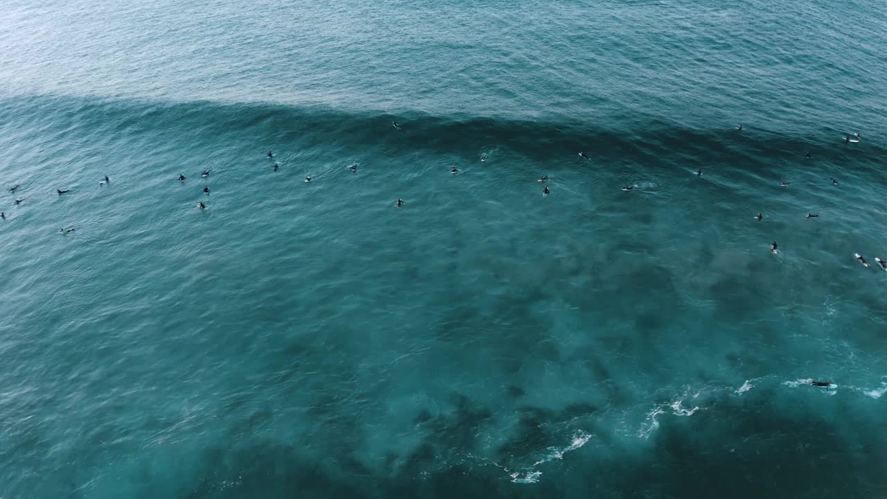 鸟瞰冲浪者在邦迪海滩，新南威尔士州，澳大利亚。视频素材