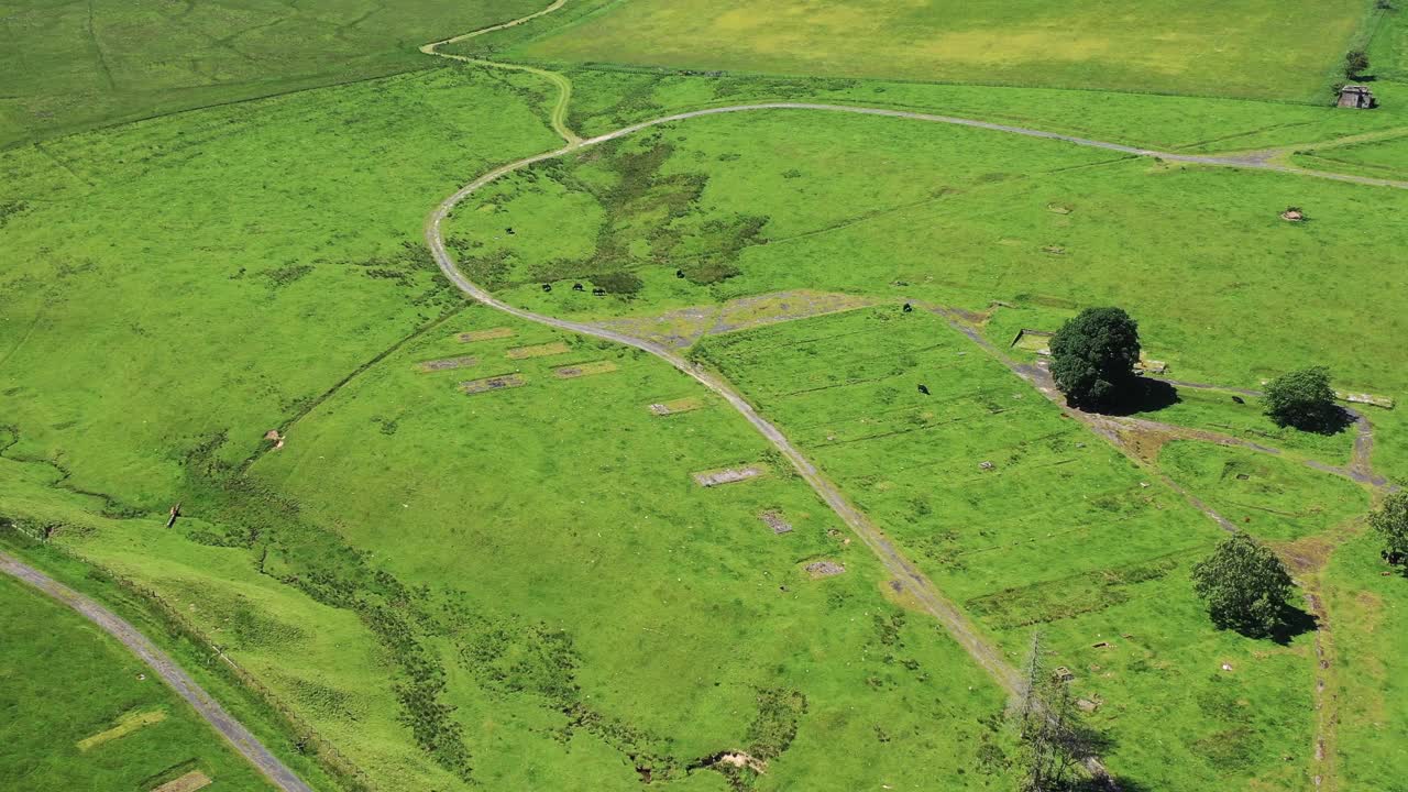 绿色田野的鸟瞰图，草地，乡村，英国。视频素材