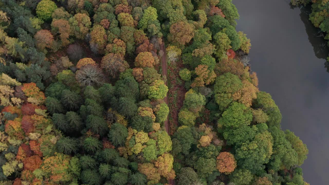 英国普雷斯门南森林与河流的鸟瞰图。视频素材