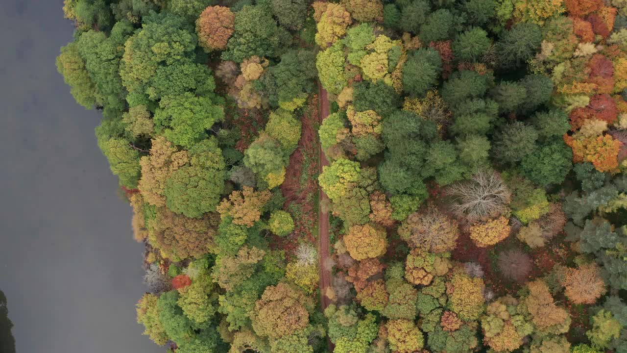 鸟瞰苏格兰普雷斯顿潘市宁静的秋季普雷斯门南森林。视频素材