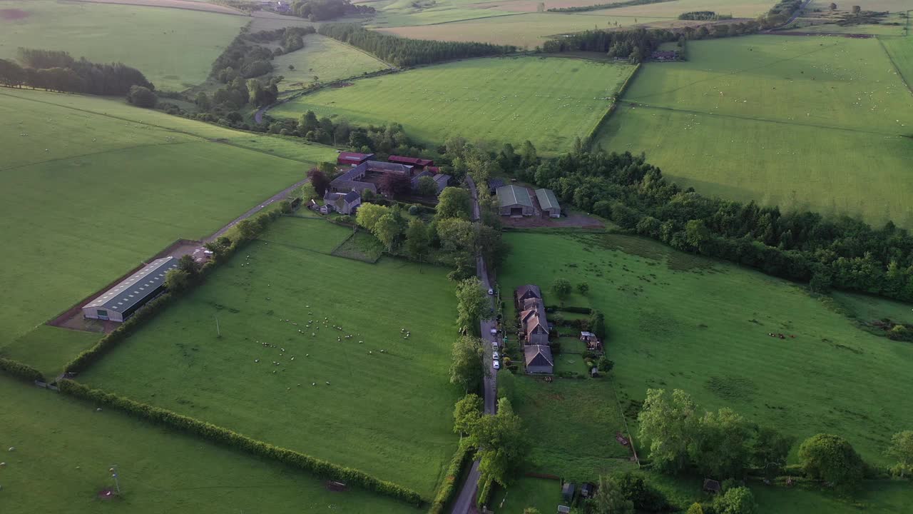 鸟瞰图，郁郁葱葱的绿色农田和农村建筑，英国。视频素材