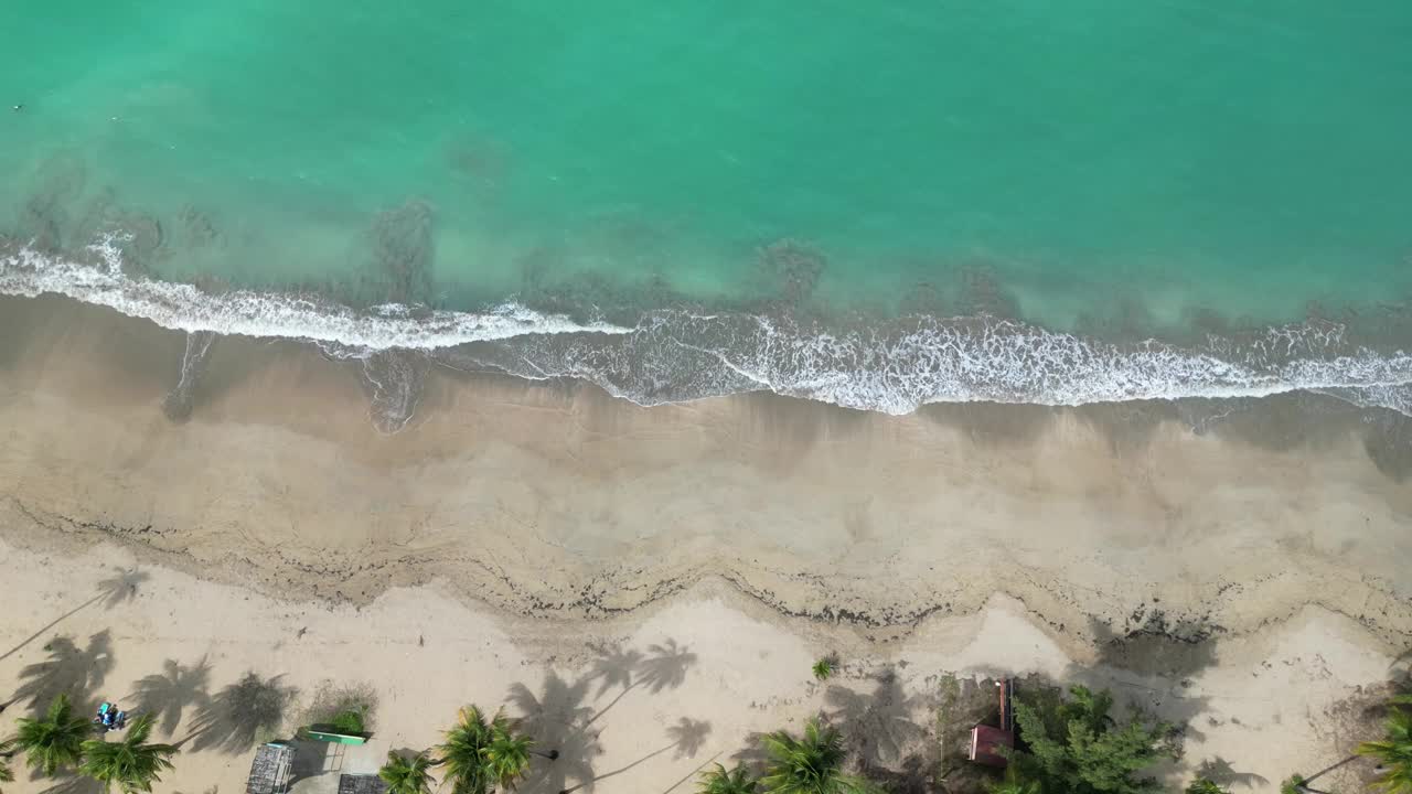 海浪冲击着波多黎各的沙滩(luquillo冲浪海岸海岸线)加勒比海旅游度假沙滩度假(棕榈树，山丘，亭子，空中无人机镜头)美丽的天堂风景视频素材