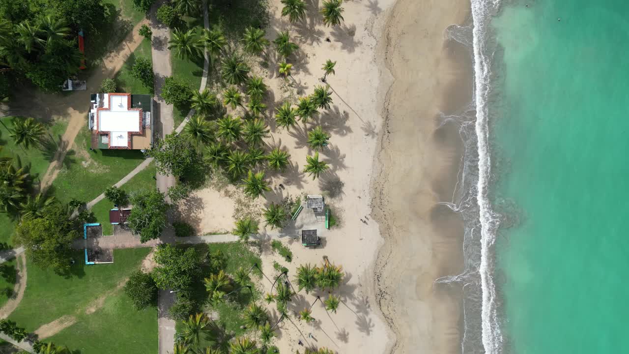 海浪冲击着波多黎各的沙滩(luquillo冲浪海岸海岸线)加勒比海旅游度假沙滩度假(棕榈树，山丘，亭子，空中无人机镜头)美丽的天堂风景视频素材