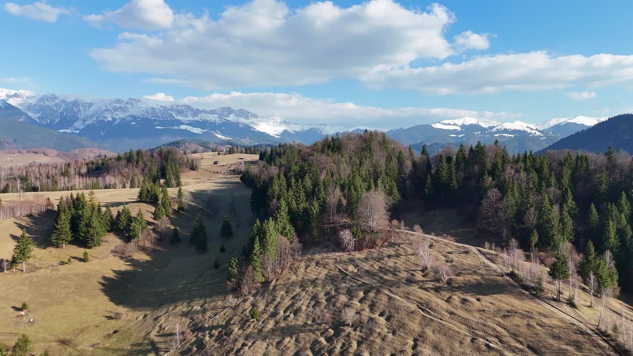 蓝天下，雪峰覆盖的森林山景，鸟瞰视频素材