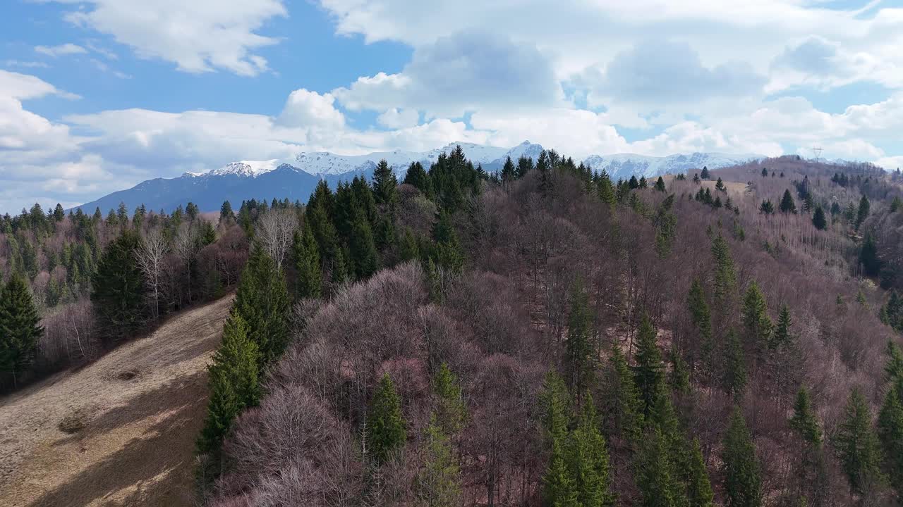 白雪皑皑的山峰，茂密的森林，蔚蓝的天空视频素材