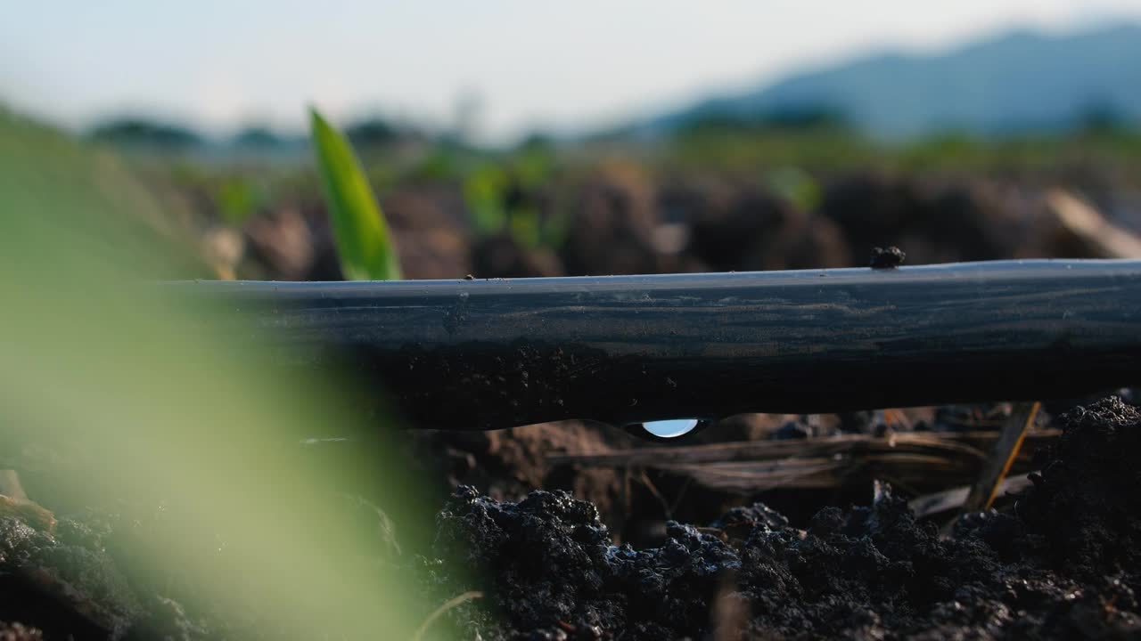 农业种植滴灌系统视频下载