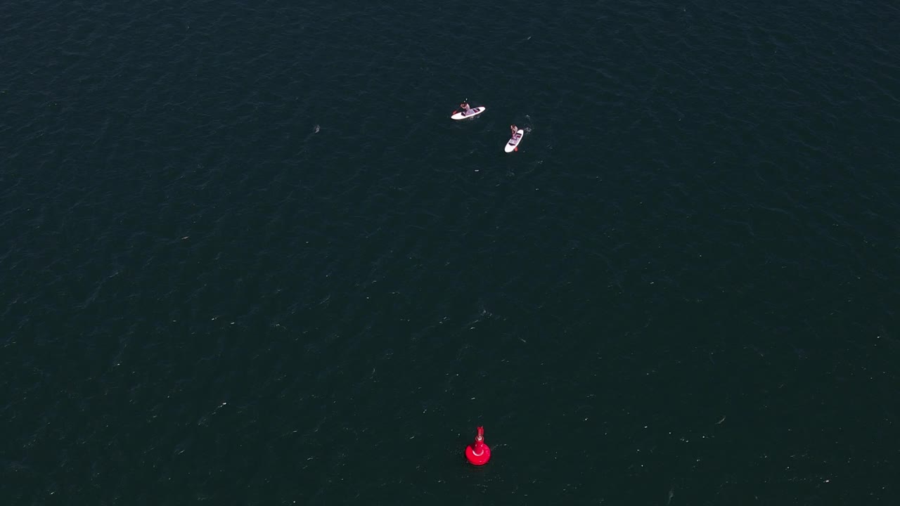 两个人站起来的鸟瞰图，在波涛汹涌的海面上，在一个红色的灯塔旁边登船。摄于葡萄牙卡斯凯伊斯视频下载