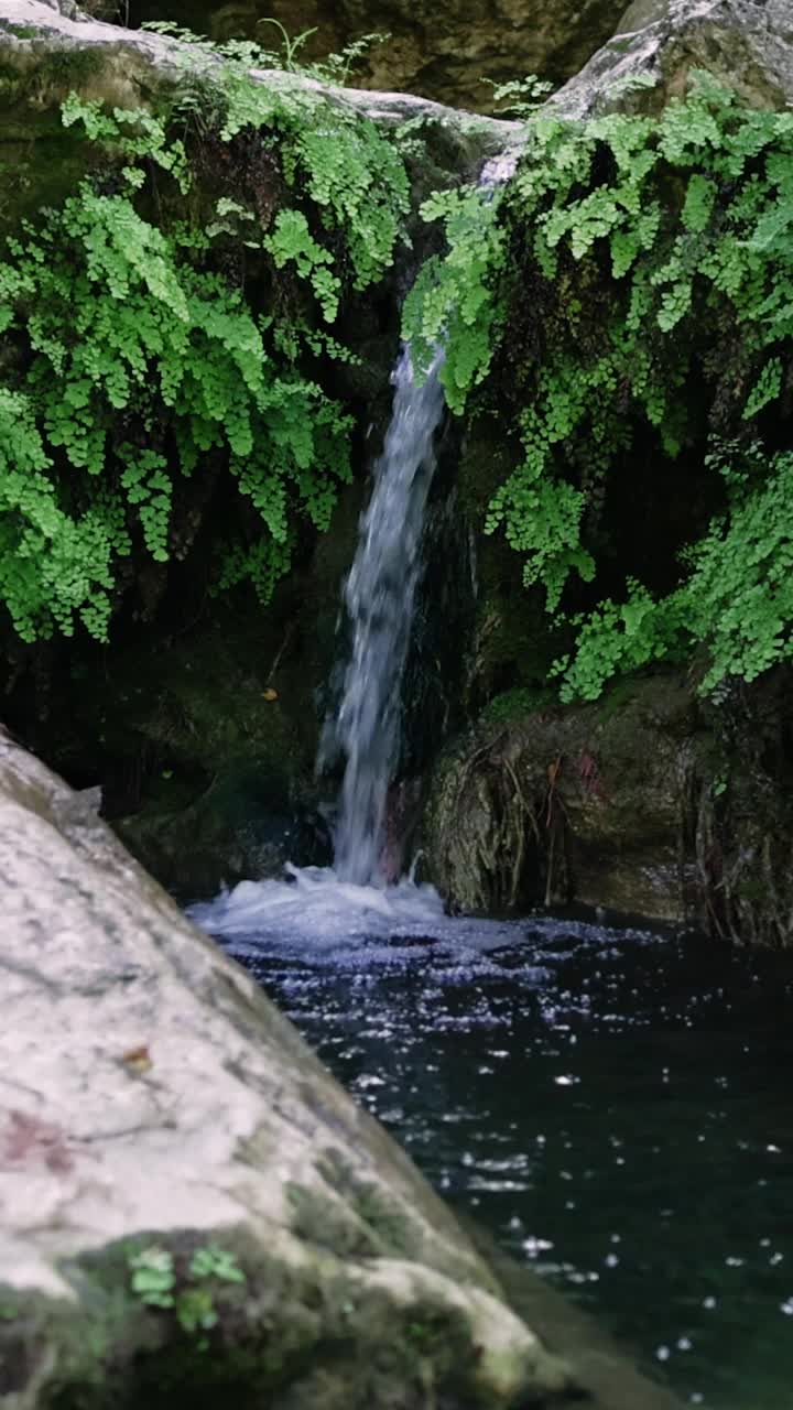 在幽静的森林里，一条宁静的小溪从长满青苔的岩石上流过视频素材