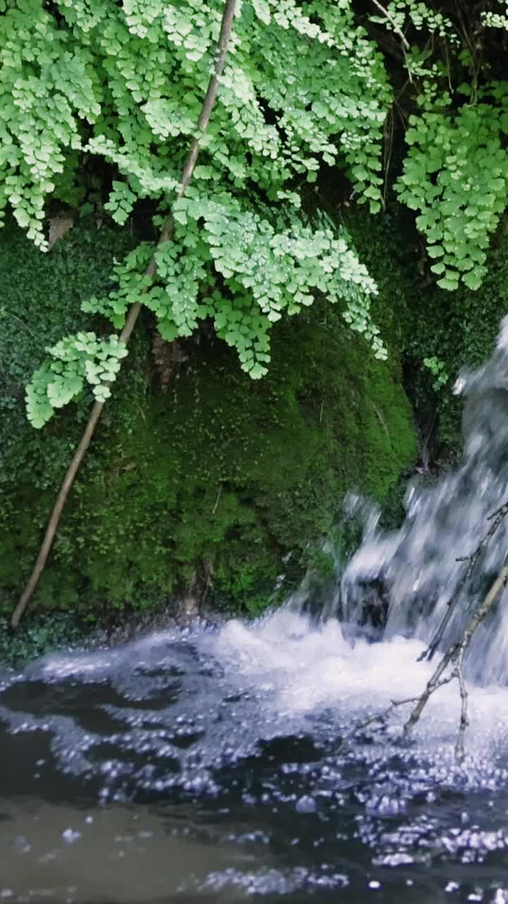 一条平缓的小溪流经茂密的森林，层叠在长满青苔的岩石上。阳光透过树木，营造出一种宁静的气氛视频素材