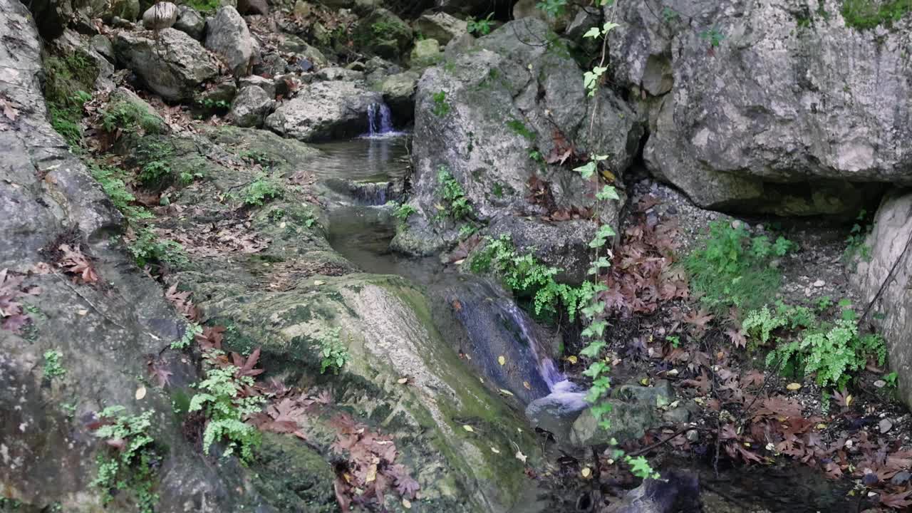 一条宁静的森林溪流流过布满青苔的岩石，形成了一幅风景如画的景色视频素材