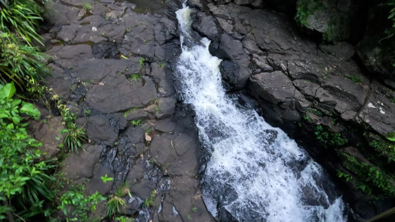 春溪森林的瀑布视频素材