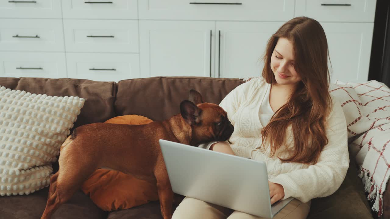 女人和法国斗牛犬在笔记本电脑上工作视频素材