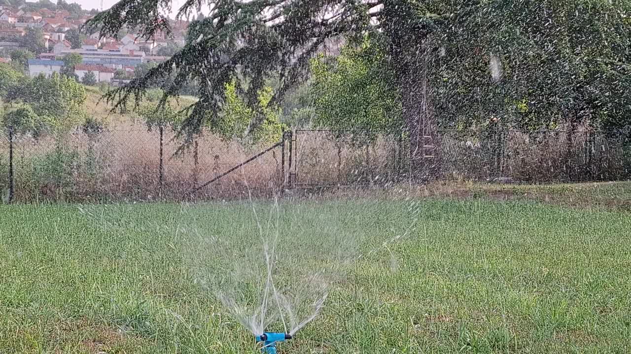 快乐的孩子们在花园里玩洒水器视频下载