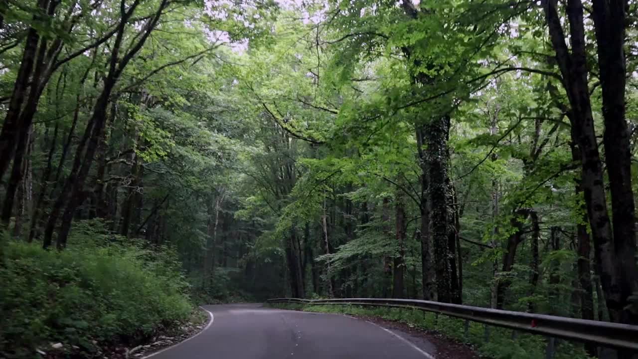 用相机拍摄森林里的一条路。时间流逝。视频下载