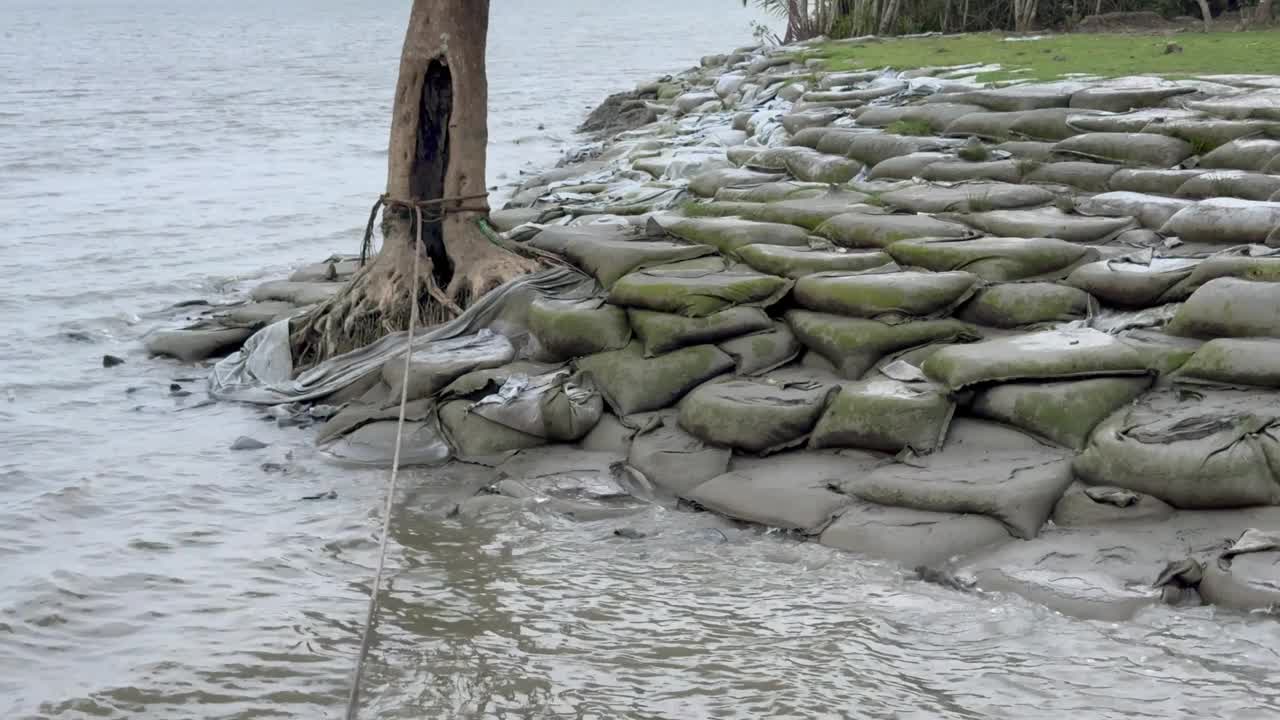 孙德尔本斯红树林沙袋治理河流侵蚀视频素材