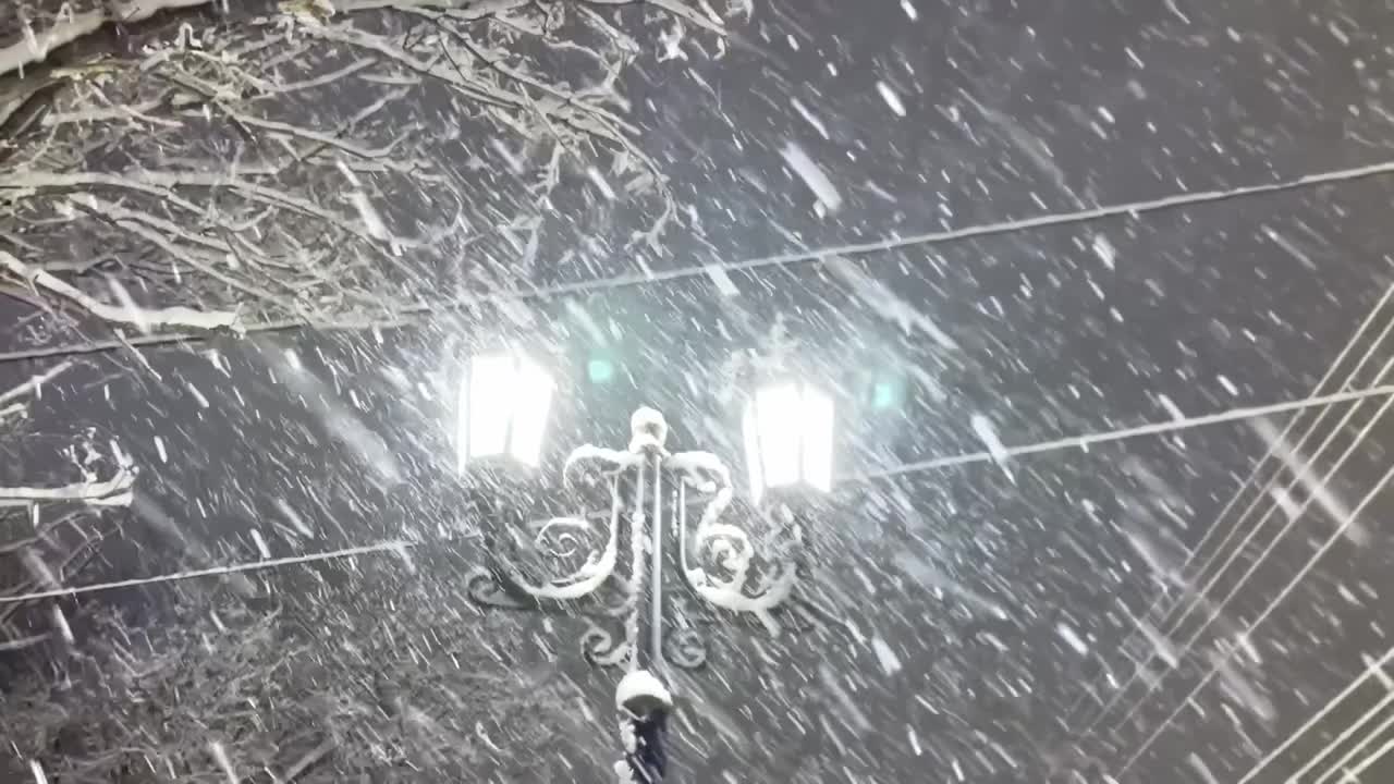 傍晚有雪。雪花一片片飘落，背景是黑色的天空、灯笼和树木。视频下载