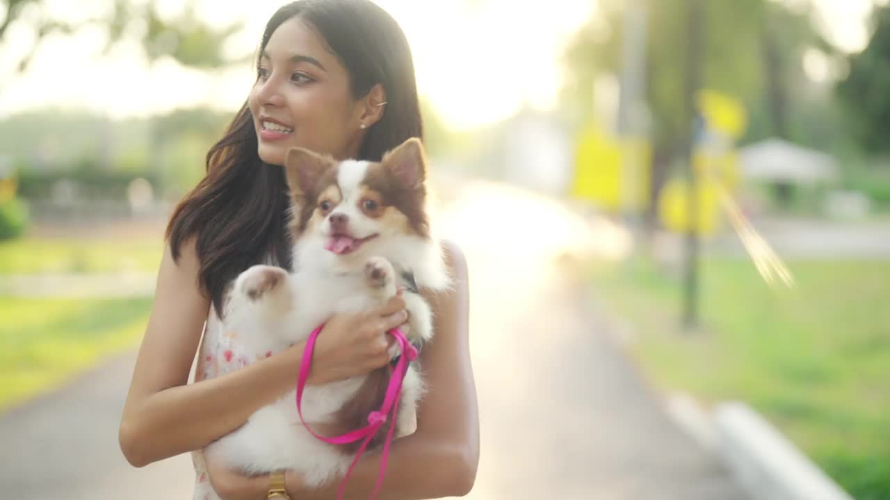 4K亚洲女人在狗狗公园和她的吉娃娃狗散步。视频素材