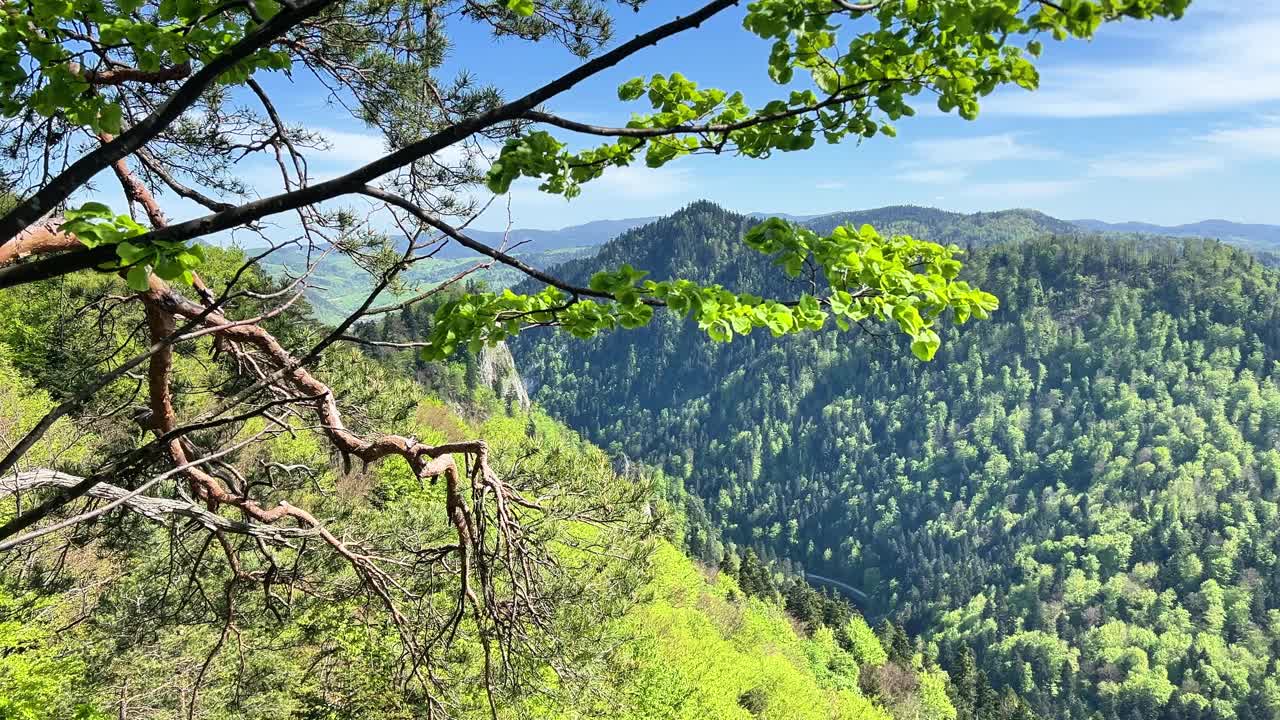 从索科利察俯瞰杜纳耶克河和塔特拉山脉视频下载