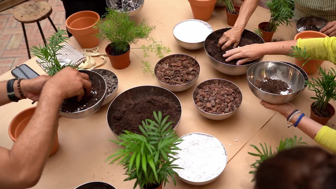 人们用手拿起配料，混合土壤，重新种植室内植物。视频素材