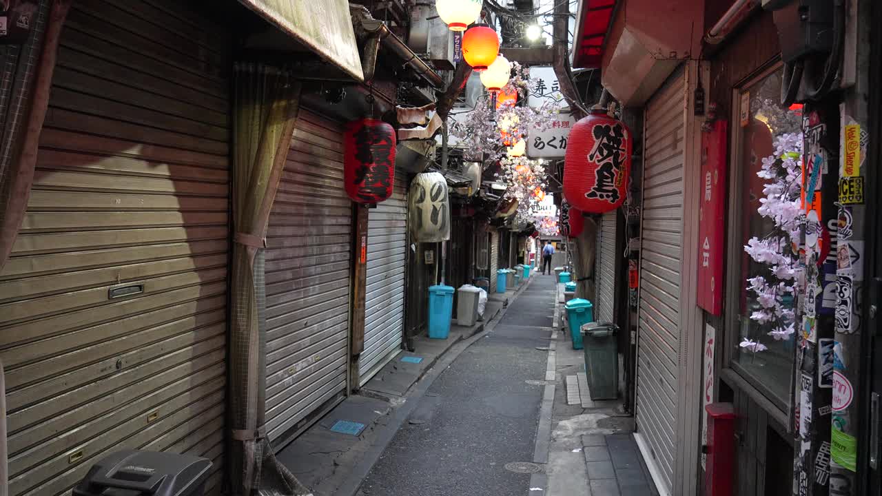 新宿，日本，东京，2024视频下载