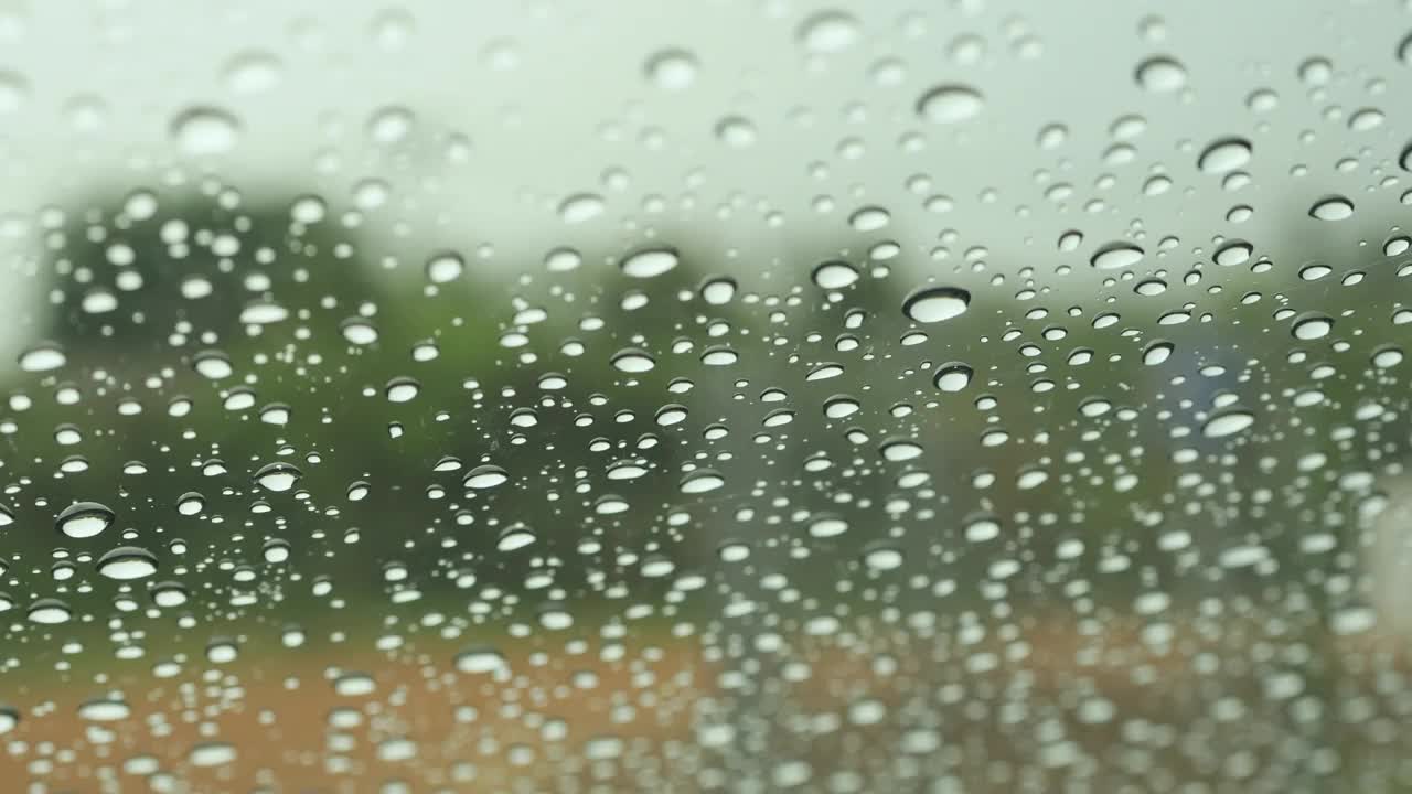 在雨林路线上驾车游览。视频素材