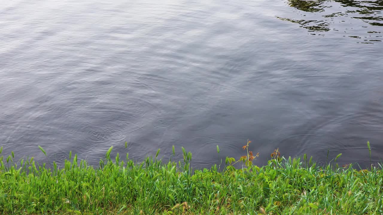 水面平静，靠近岸边，绿草如茵。自然背景，夏日自然视频下载