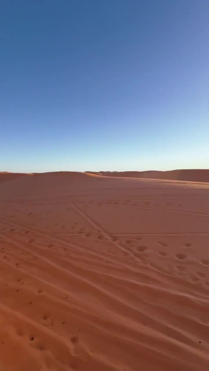 沙漠骆驼骑在摩洛哥的冒险视频素材