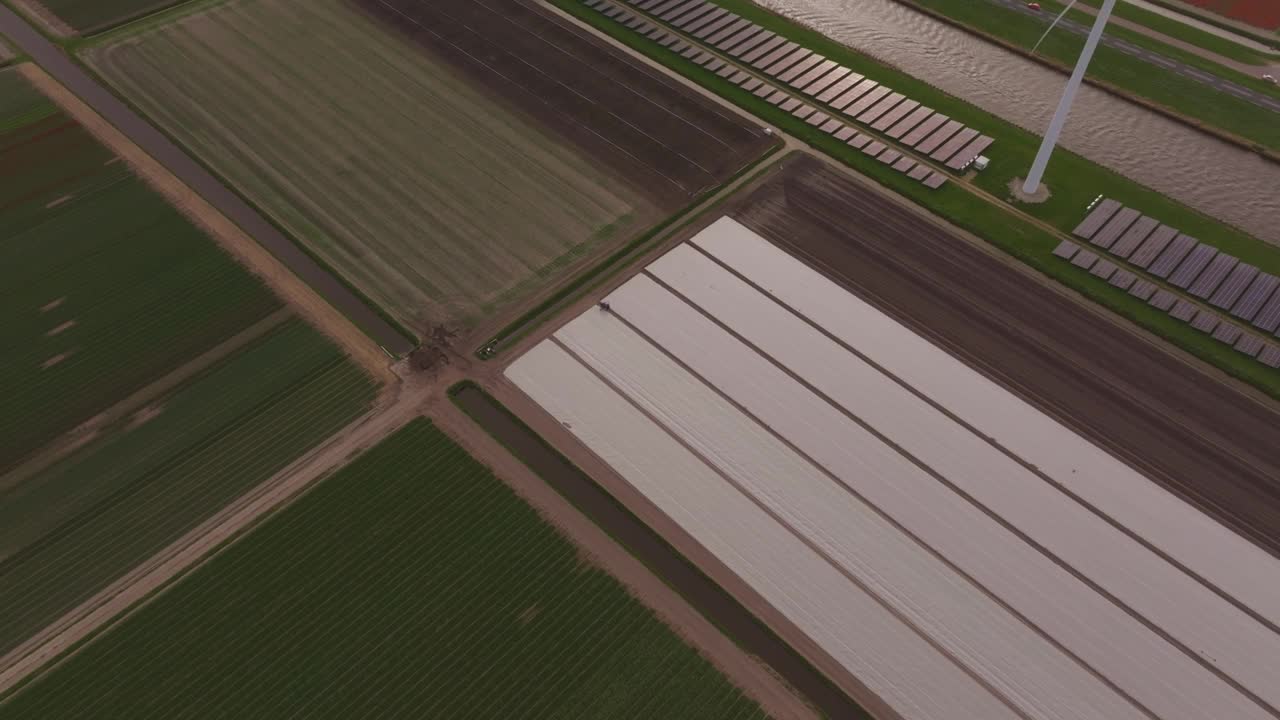 郁金香田，风力涡轮机，运河鸟瞰图，荷兰。视频素材