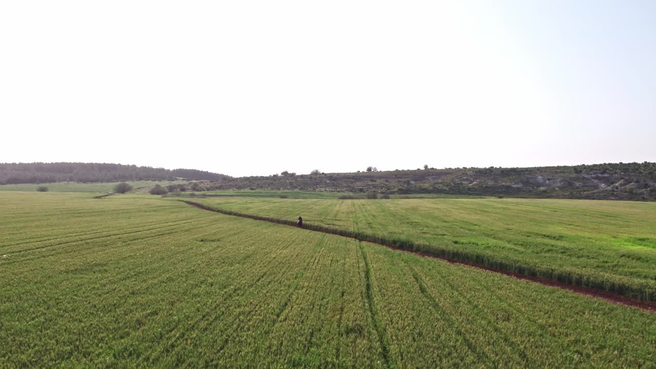 在绿色的田野里骑马视频素材