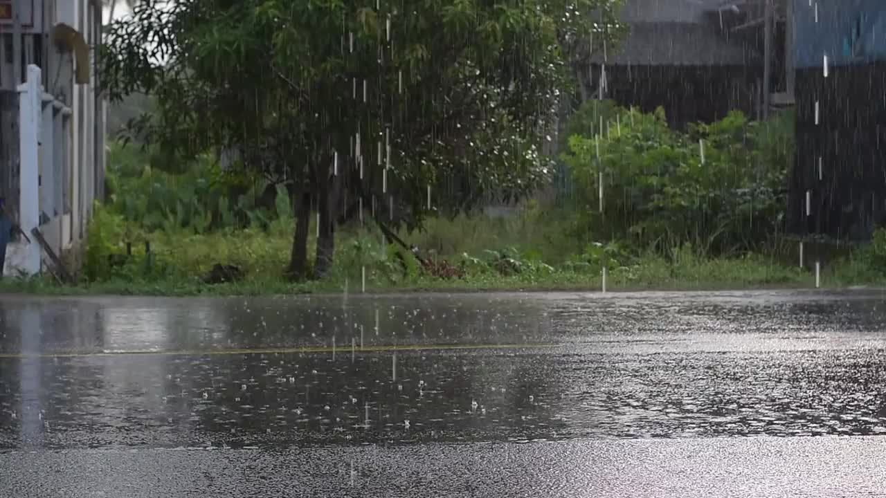 傍晚的大雨倾泻在柏油路上的现象，没有一辆车经过，一片空旷的景象视频下载