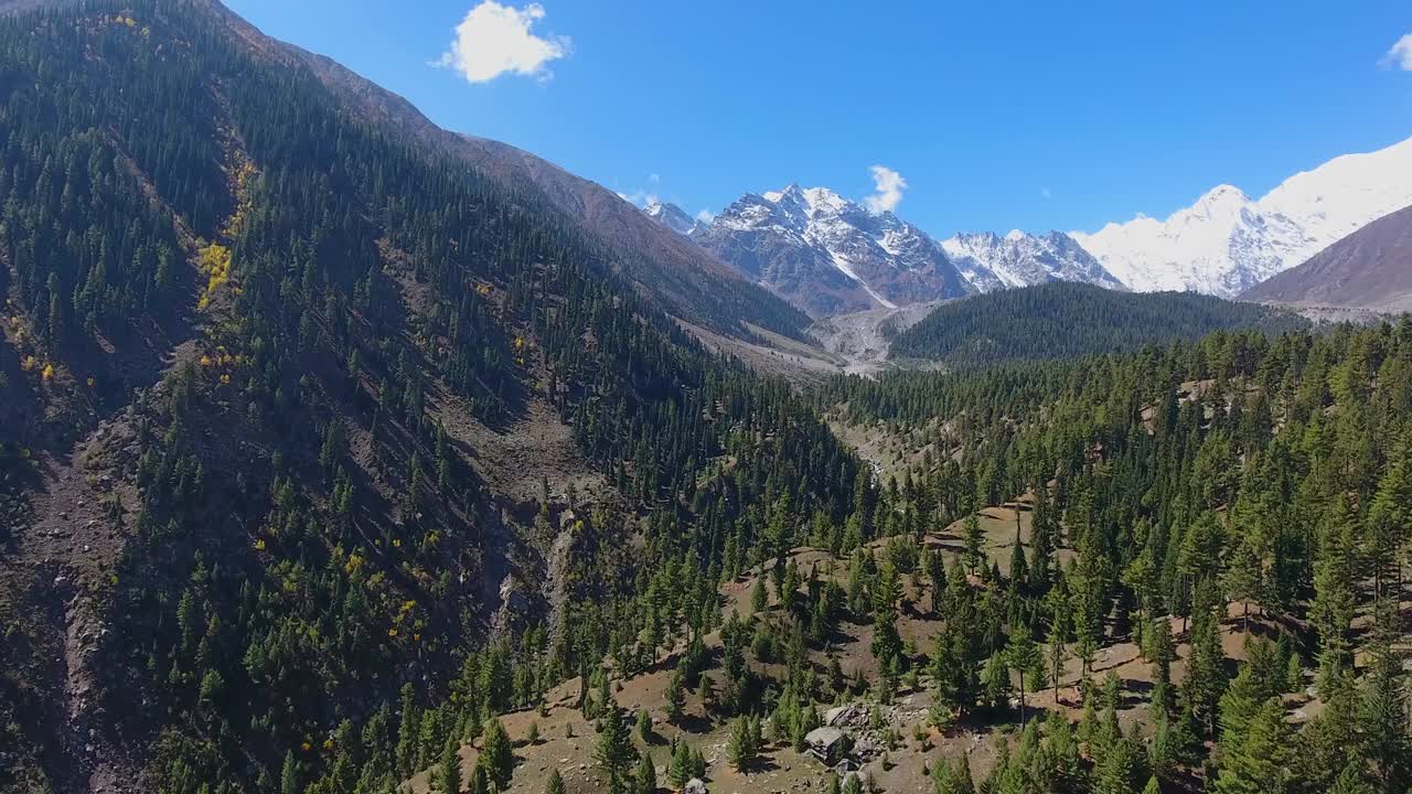 鸟瞰雪山，森林，山谷，巴基斯坦。视频素材