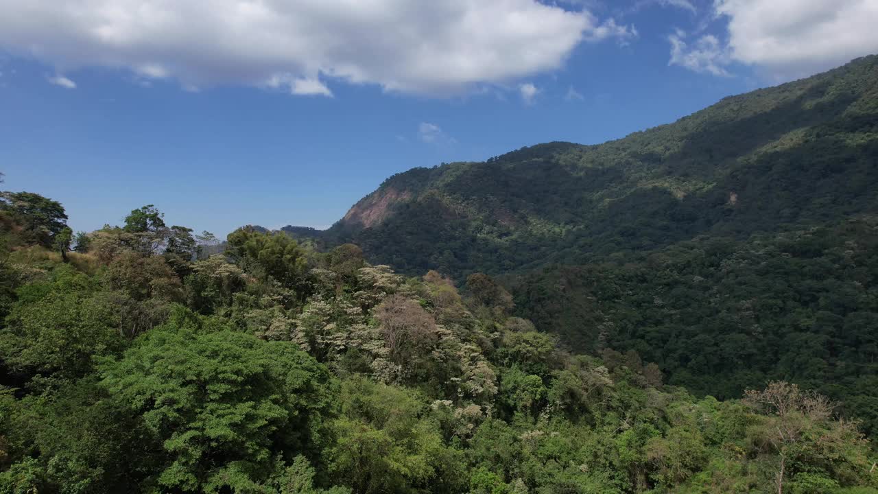 在一个微云的早晨，看到被树木和庄稼包围的青山视频素材