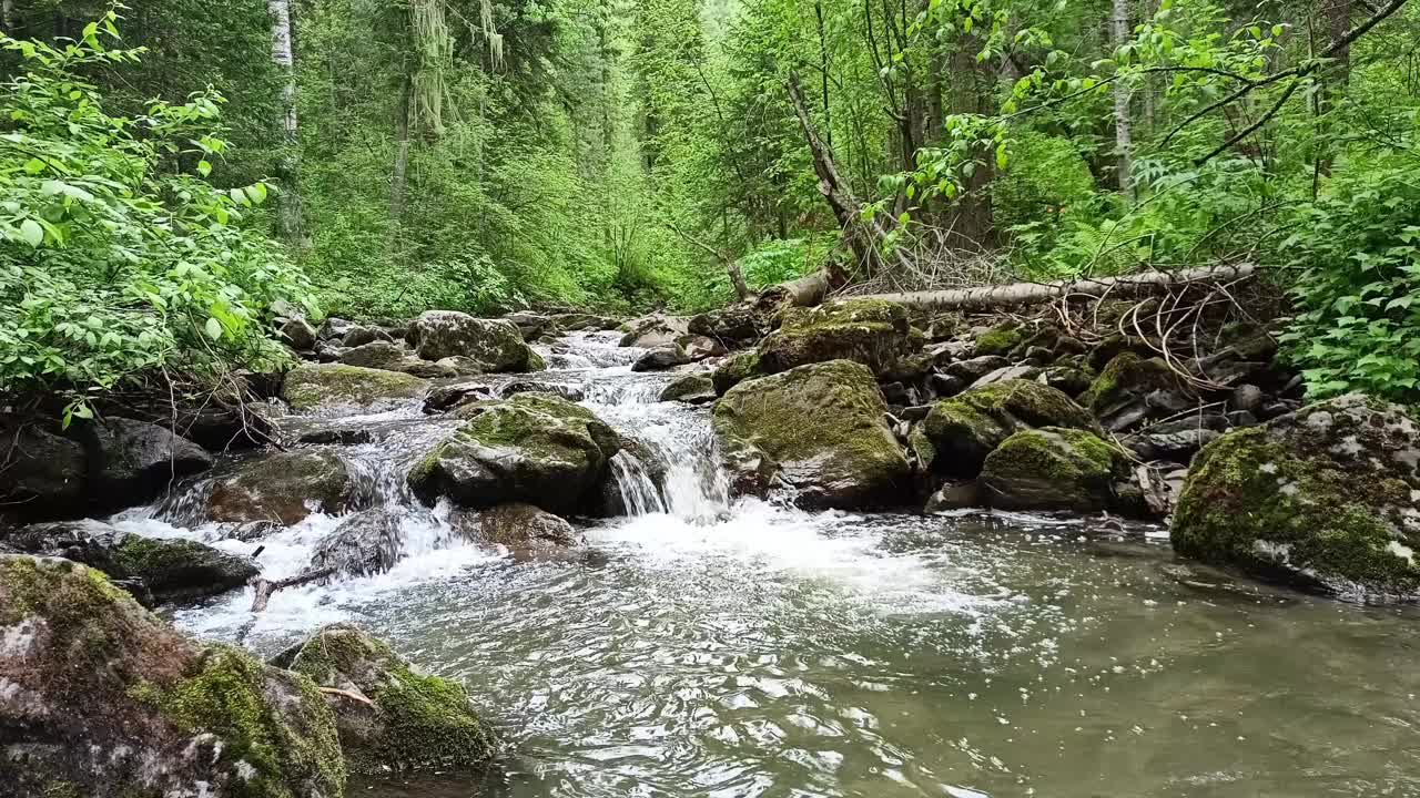 瀑布:在多云的夏日里流经茂密森林的山间河流河床上的小瀑布视频下载