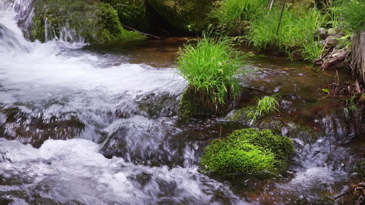 夏天的Shojinsawa泉水，枥木县，日本视频素材