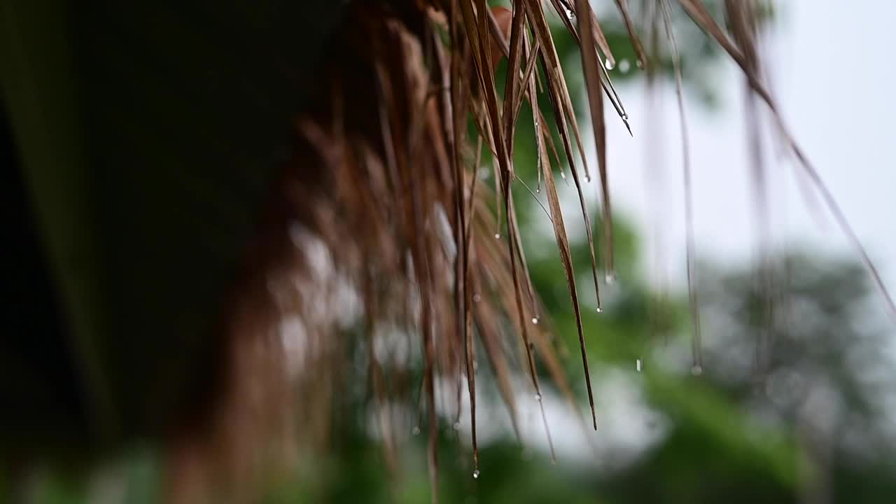 雨点在昏暗的灯光下闪闪发光，从屋顶上缓缓落下，在空中跳起了迷人的舞蹈。视频下载