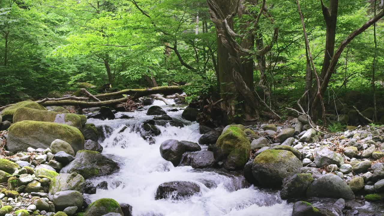 日本枥木县夏季的MS SLO MO Shojinsawa泉水视频下载